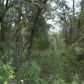 NE Hwy. 351, Old Town, FL 32680 ID:3999336