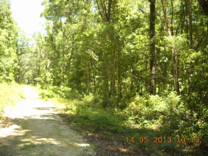 NE 542nd Street, Old Town, FL 32680