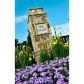 3429 Locust Cove Road, Gainesville, GA 30504 ID:6566884