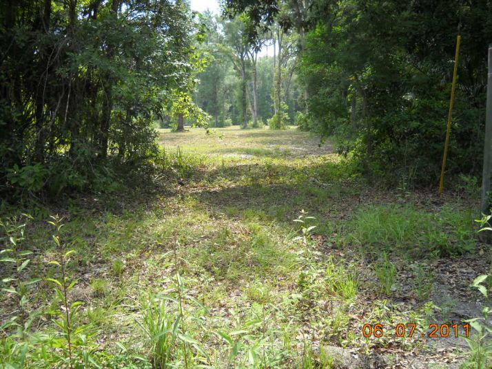 234 NE 644 Street, Old Town, FL 32680