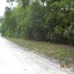 234 NE 644 Street, Old Town, FL 32680 ID:3997997