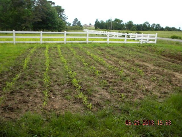508 CR 3350, Clarksville, AR 72830