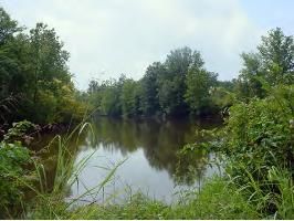 Johnson 2348 Rd CR 2348, Clarksville, AR 72830