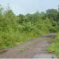 Johnson 2348 Rd CR 2348, Clarksville, AR 72830 ID:1154252