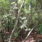 110 Black Oak Court, Waleska, GA 30183 ID:3134128