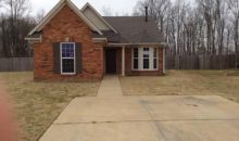 1561 Sarah Ann Cv Southaven, MS 38671