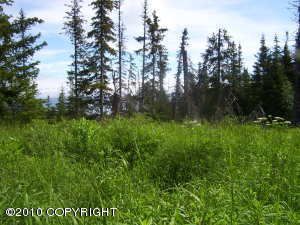 50855 Mtn Glacier Court, Homer, AK 99603