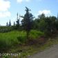 50855 Mtn Glacier Court, Homer, AK 99603 ID:6968451