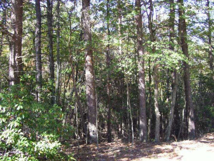 109 Toochalar Court, Waleska, GA 30183