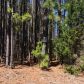 0 Coppermine Road, Temple, GA 30179 ID:7154653