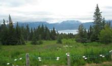 50375 E End Road Homer, AK 99603