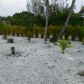2571 Rose Ln, Saint James City, FL 33956 ID:941915