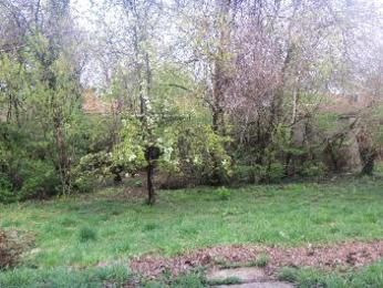 3818 Iberis Ave, Cincinnati, OH 45213