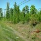 8023 Tyree, Whitesburg, GA 30185 ID:7201848