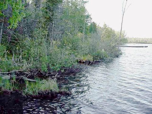 4033 Clam Lake Road, Bellaire, MI 49615