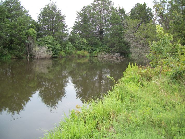 27 acres M/L County Road 3436, Clarksville, AR 72830