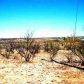 1800 Jazz, Rio Rico, AZ 85648 ID:2460159