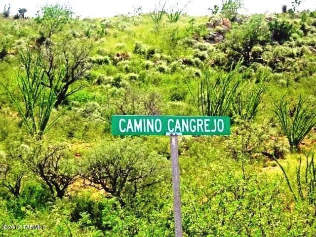 1652 Cangrejo, Rio Rico, AZ 85648