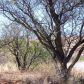 118 Calle Tiburon, Rio Rico, AZ 85648 ID:2460021