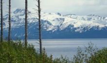 825 Sterling Highway Homer, AK 99603