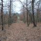 6 acres M/L on CR 3611, Clarksville, AR 72830 ID:1154844