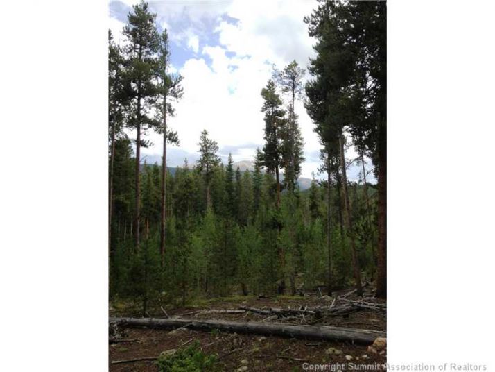 265 Southside Dr 4, Breckenridge, CO 80424