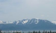 L2 Sibson Drive Homer, AK 99603