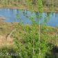 663 S Ashley Road, Big Lake, AK 99652 ID:6341371