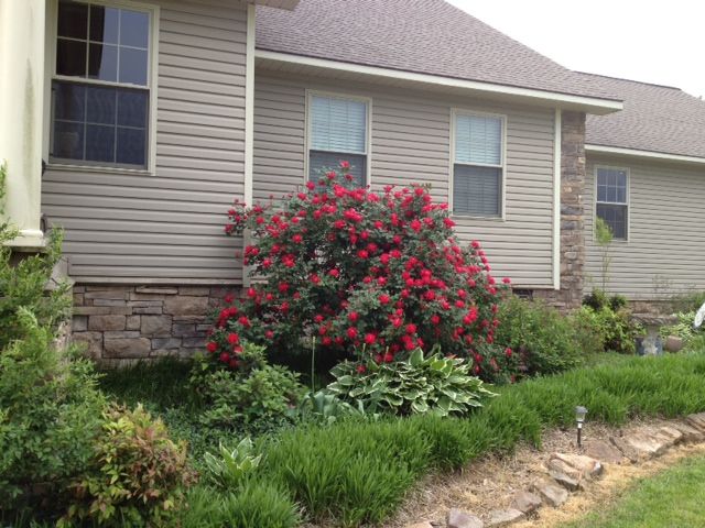 2 Doss Ln, Batesville, AR 72501