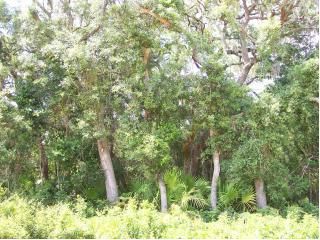 6060 Klare Drive, Keystone Heights, FL 32656