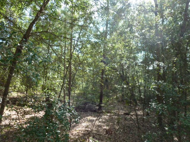 00 Lonesome Dove Place, Keystone Heights, FL 32656