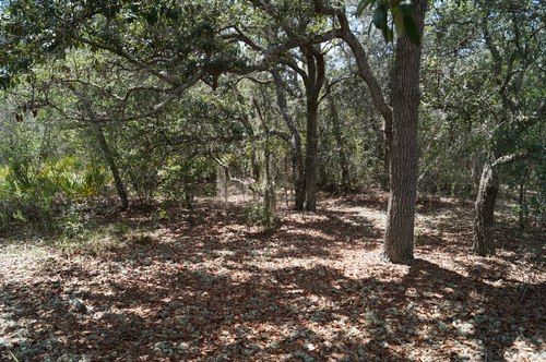 7444 Antietam Ave, Keystone Heights, FL 32656