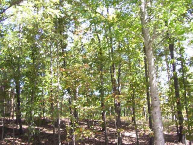 137 White Antelope Street, Waleska, GA 30183