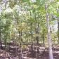 137 White Antelope Street, Waleska, GA 30183 ID:3131898