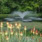 137 White Antelope Street, Waleska, GA 30183 ID:3131899
