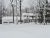 103 Maple Street White Pine, MI 49971