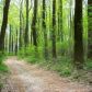 0 BLUERIDGE MOUNTAIN ROAD, Paris, VA 20130 ID:1238624