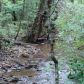 2143 Toll Gate Road, Cleveland, GA 30528 ID:3344235
