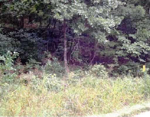 38 Thomas Circle E, Eureka Springs, AR 72631
