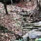 38 Thomas Circle E, Eureka Springs, AR 72631 ID:1162664
