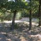 Off Hwy 103, Clarksville, AR 72830 ID:1157633