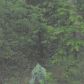000 Mc 8131, Flippin, AR 72634 ID:1163520