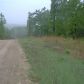 000 Mc 8131, Flippin, AR 72634 ID:1163521