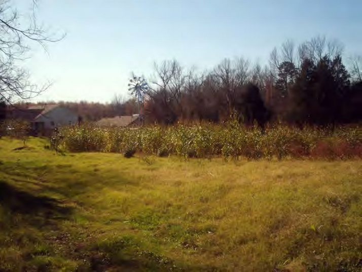 SHADY GROVE ROAD, CLARKSVILLE, 72830, Clarksville, AR 72830