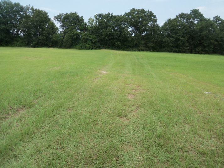 0 Laura Lane, Newton, AL 36352