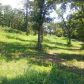 365 Fox Chase Drive Dr, Flippin, AR 72634 ID:1163419
