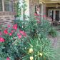 2259 Hwy 21, Clarksville, AR 72830 ID:1157537