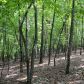 1138 Robins Nest, Jasper, GA 30143 ID:2275144