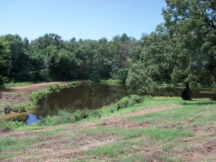 177 County Rd 3216, Clarksville, AR 72830