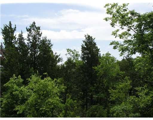 4 Woodside Ln, Eureka Springs, AR 72631